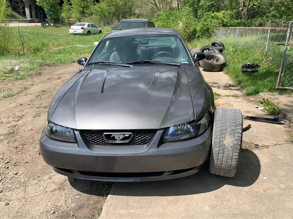 2004 Ford SN95 Mustang - Image 8 of 10