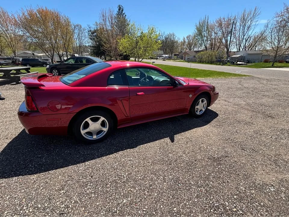 2004 Ford SN95 Mustang - Image 3 of 11