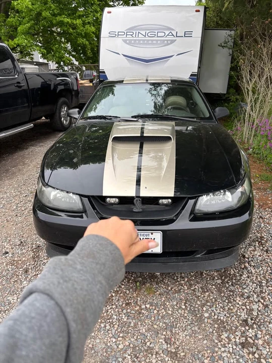 2004 Ford SN95 Mustang - Image 2 of 4