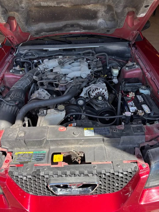 2004 Ford SN95 Mustang - Image 10 of 11