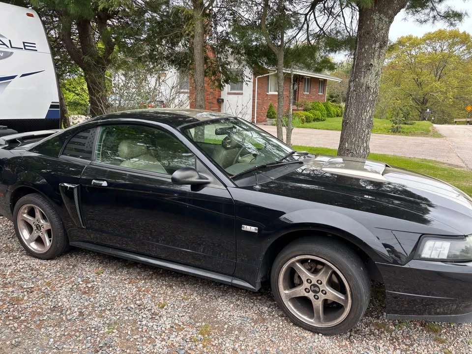 2004 Ford SN95 Mustang - Image 4 of 4