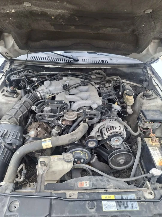 2004 Ford SN95 Mustang - Image 9 of 11