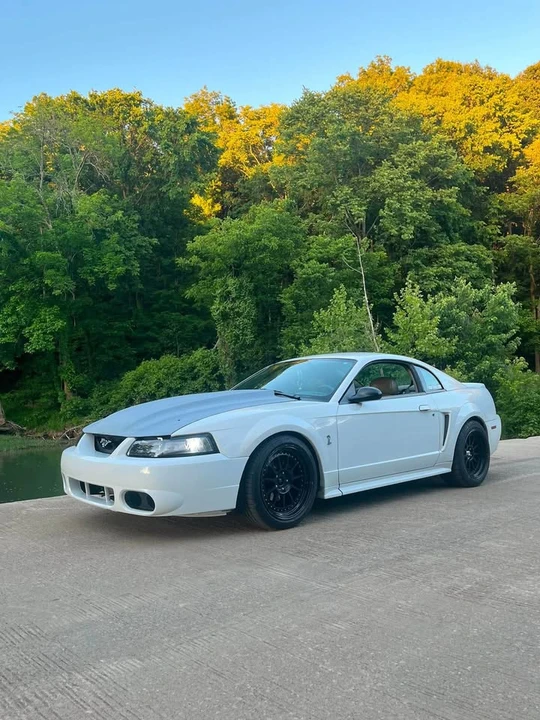 2004 Ford SN95 Mustang - Image 5 of 8