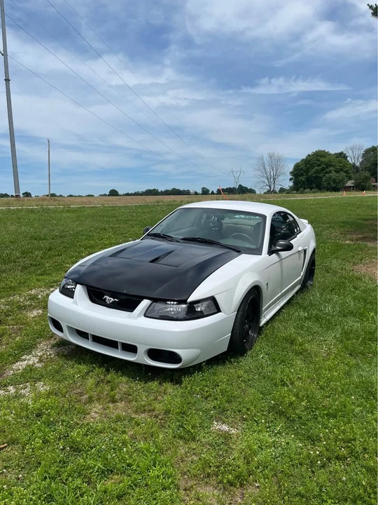 2004 Ford SN95 Mustang - Image 2 of 8