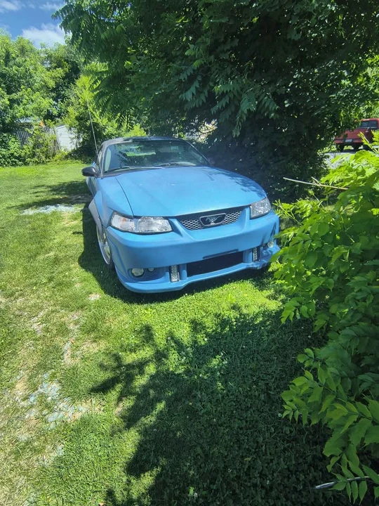 2004 Ford SN95 Mustang - Image 2 of 6