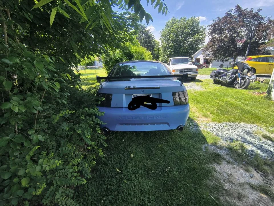 2004 Ford SN95 Mustang - Image 6 of 6