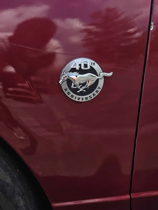 2004 Ford SN95 Mustang - Image 19 of 20