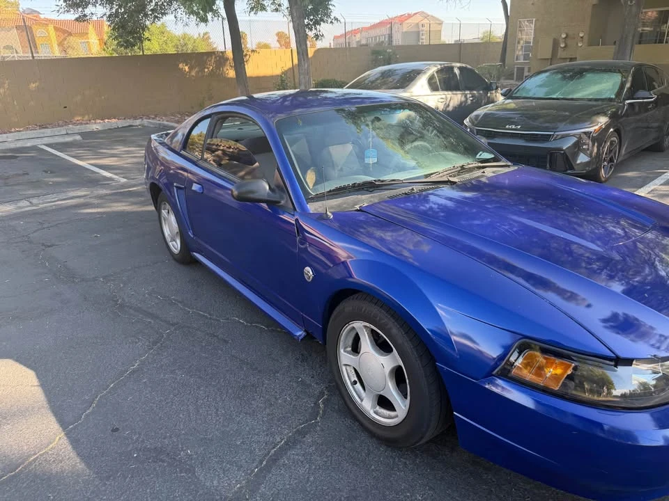 2004 Ford SN95 Mustang - Image 5 of 7