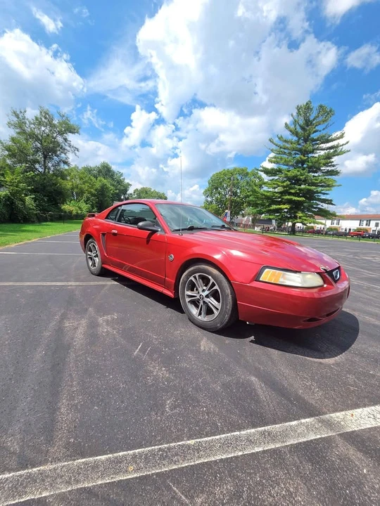 2004 Ford SN95 Mustang - Image 13 of 20