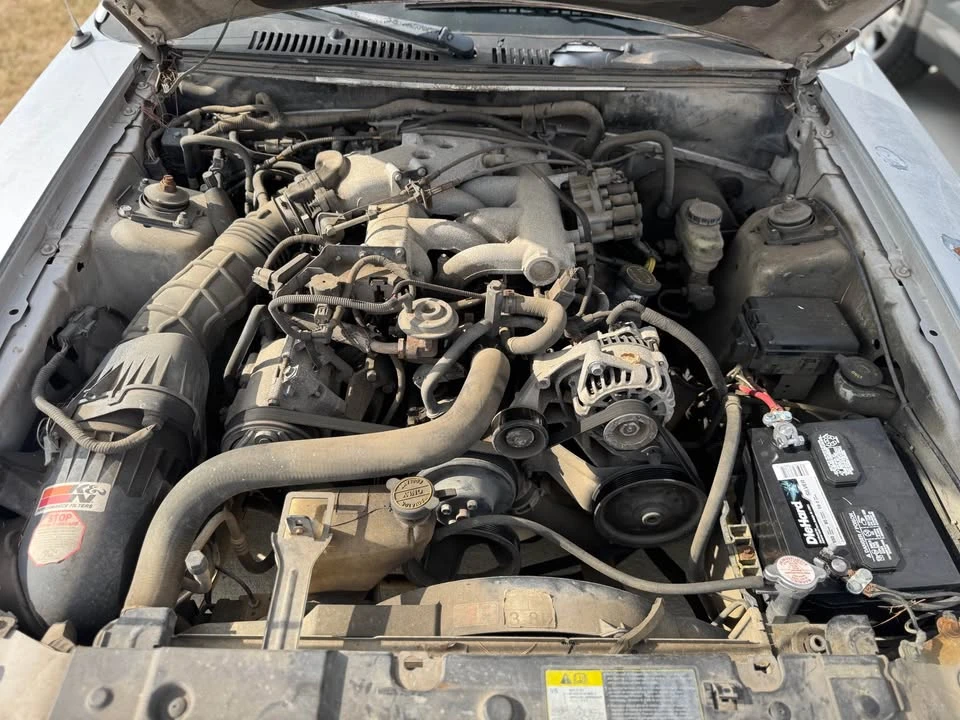 2004 Ford SN95 Mustang - Image 15 of 17