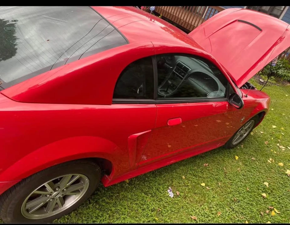 2004 Ford SN95 Mustang - Image 8 of 11