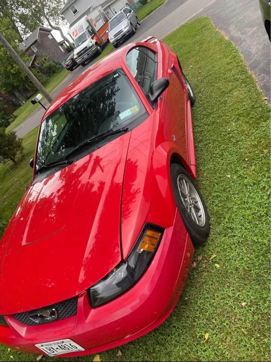 2004 Ford SN95 Mustang - Image 3 of 11