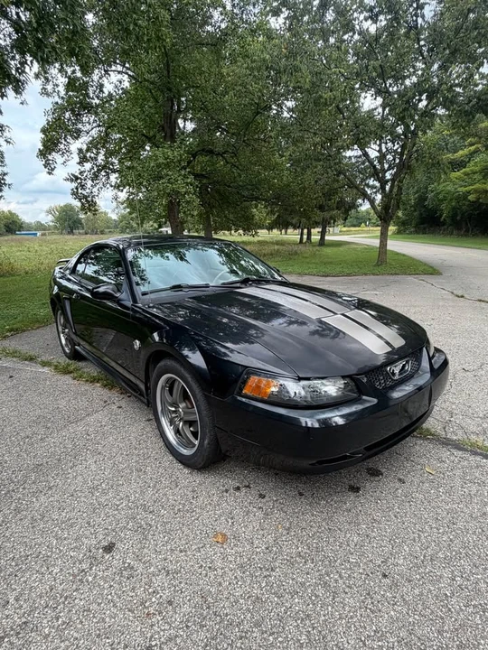 2004 Ford SN95 Mustang - Image 5 of 13
