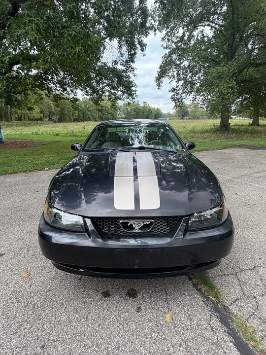 2004 Ford SN95 Mustang - Image 6 of 13