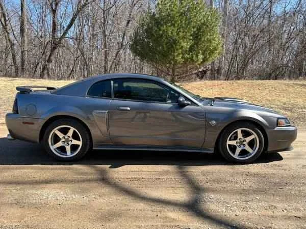 2004 Ford SN95 Mustang - Image 10 of 10