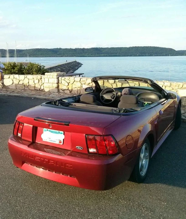 2004 Ford SN95 Mustang - Image 6 of 15