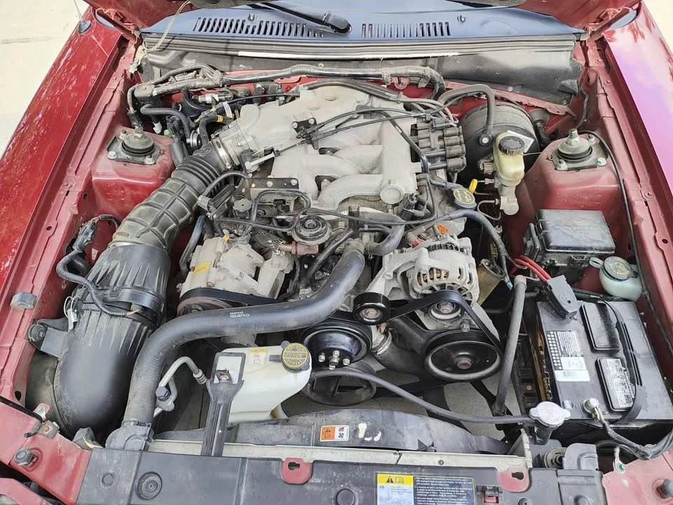 2004 Ford SN95 Mustang - Image 11 of 15