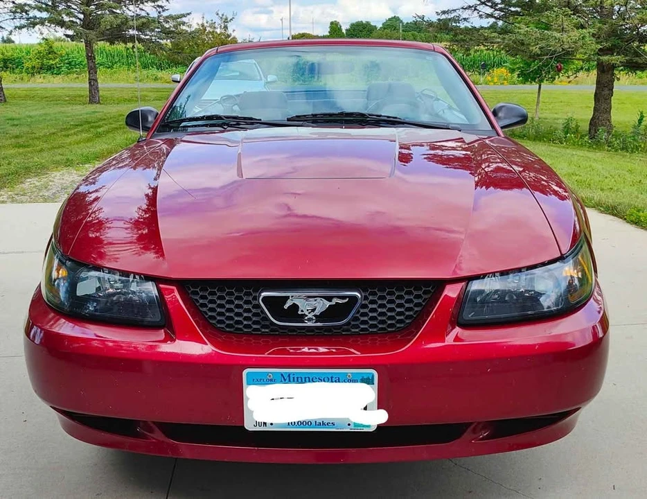 2004 Ford SN95 Mustang - Image 5 of 15