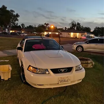 2004 Ford Mustang Deluxe Convertible