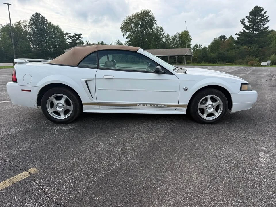 2004 Ford SN95 Mustang - Image 4 of 20