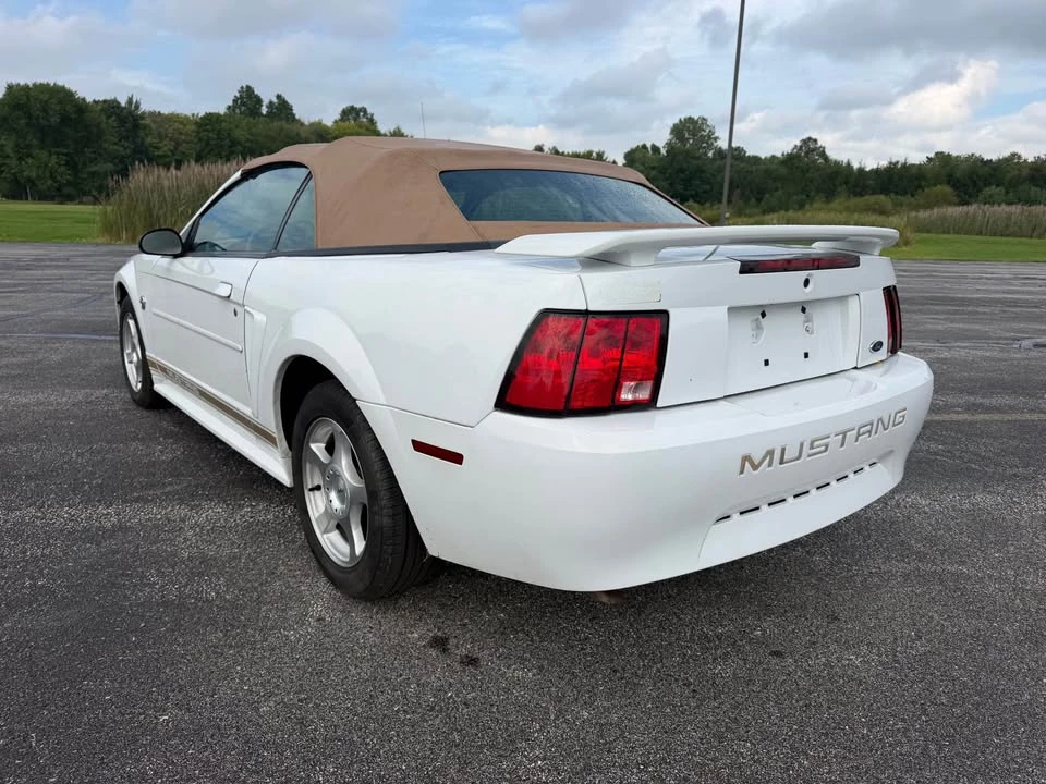2004 Ford SN95 Mustang - Image 7 of 20