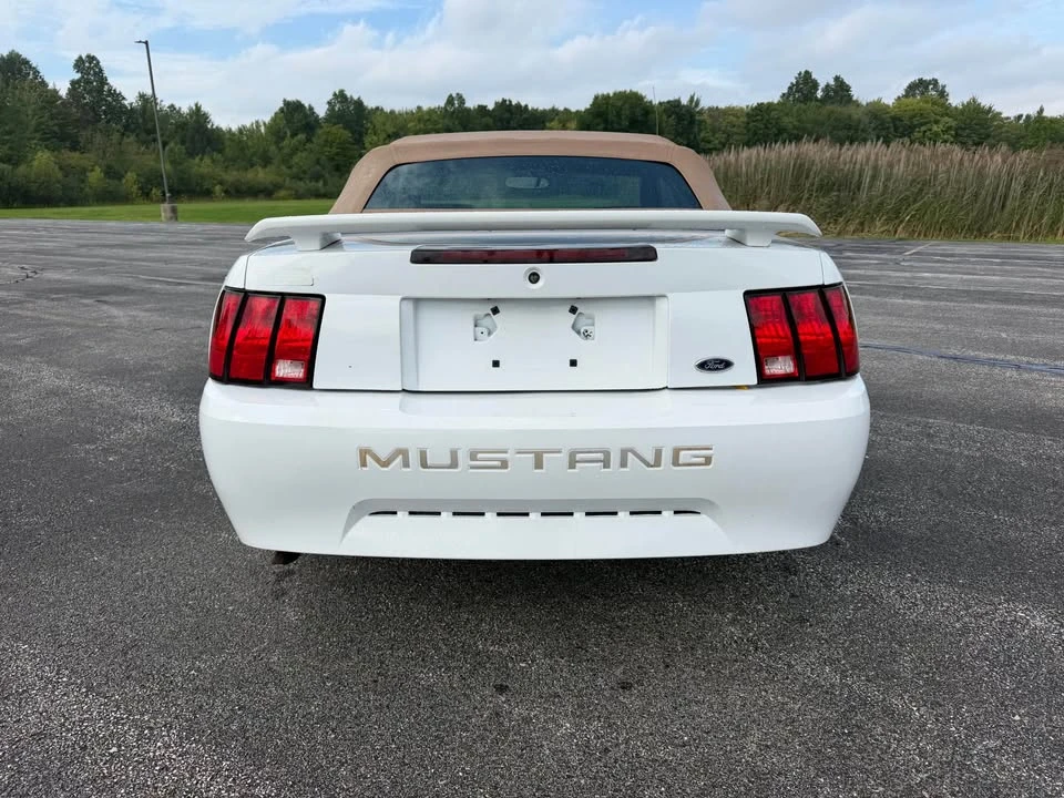 2004 Ford SN95 Mustang - Image 6 of 20