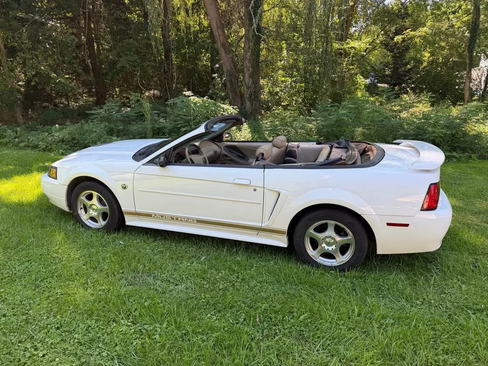 2004 Ford SN95 Mustang - Image 20 of 20