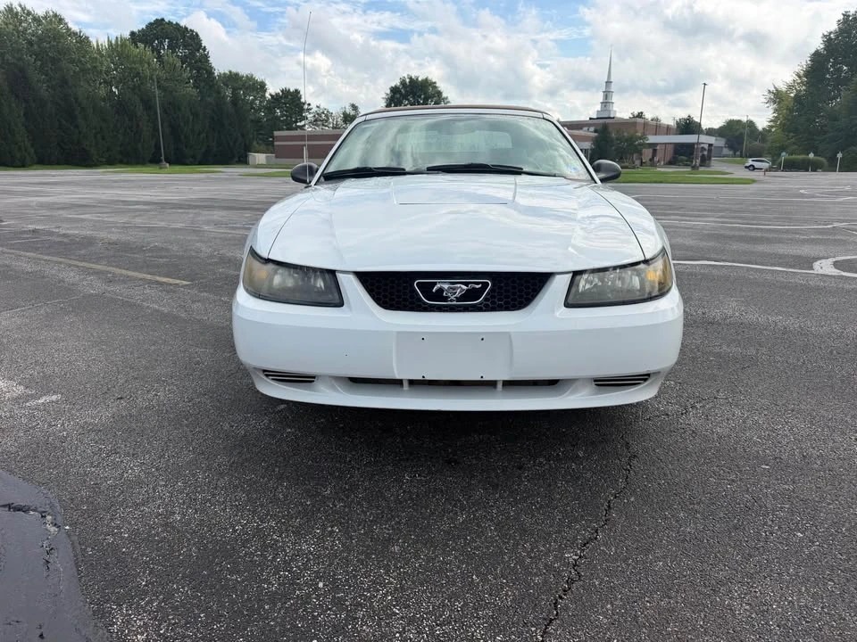 2004 Ford SN95 Mustang - Image 2 of 20