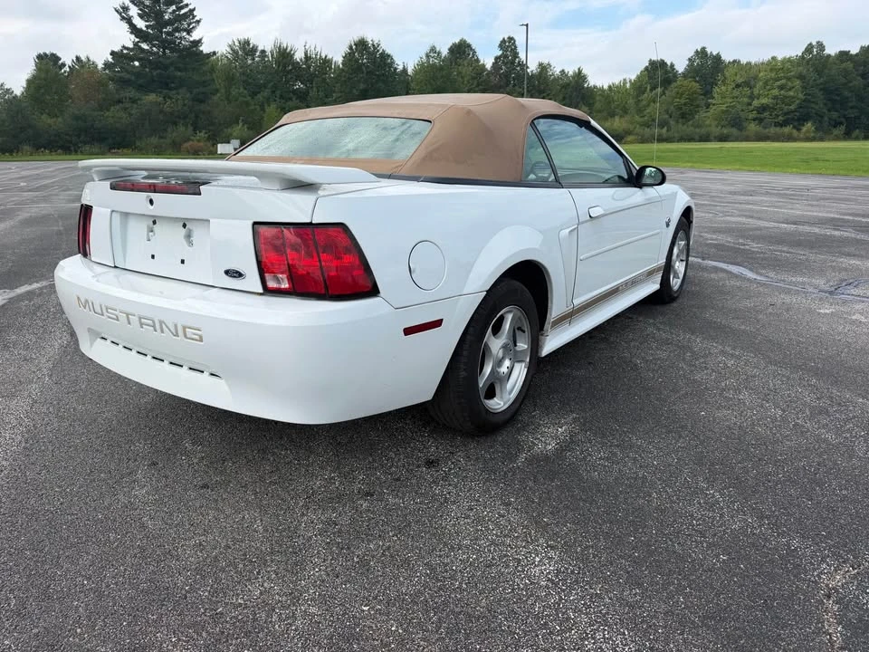 2004 Ford SN95 Mustang - Image 5 of 20