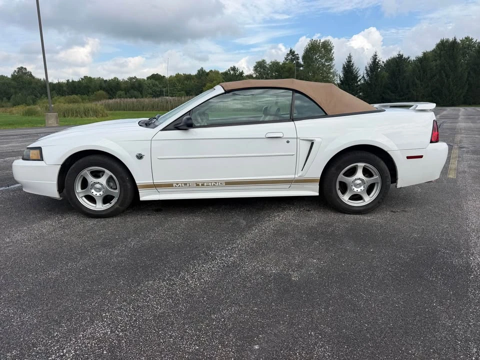 2004 Ford SN95 Mustang - Image 8 of 20