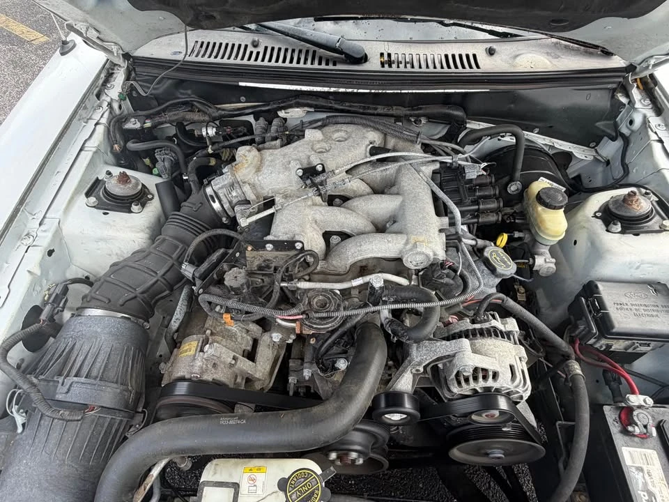 2004 Ford SN95 Mustang - Image 15 of 20