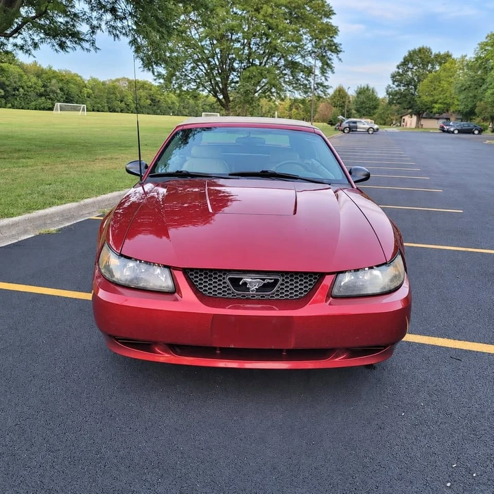 2004 Ford SN95 Mustang - Image 2 of 19