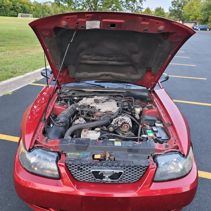 2004 Ford SN95 Mustang - Image 19 of 19