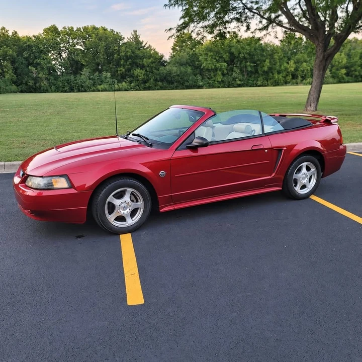 2004 Ford SN95 Mustang - Image 14 of 19