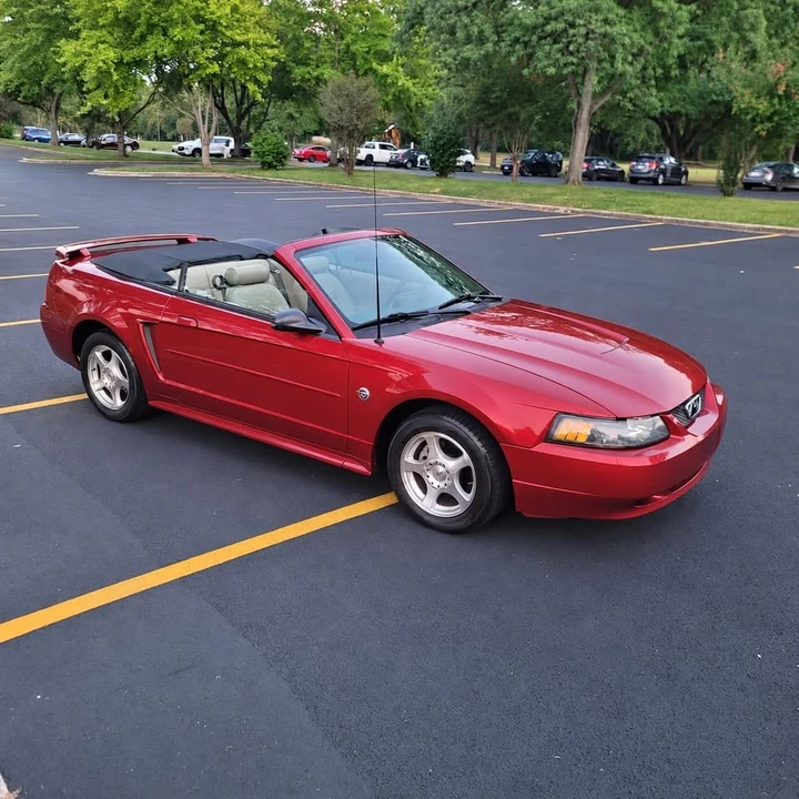 2004 Ford SN95 Mustang - Image 15 of 19