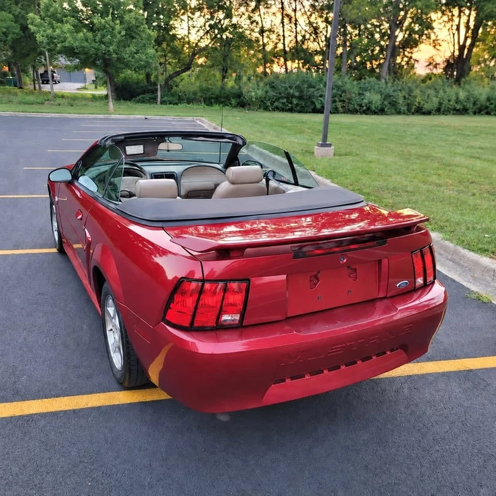 2004 Ford SN95 Mustang - Image 16 of 19
