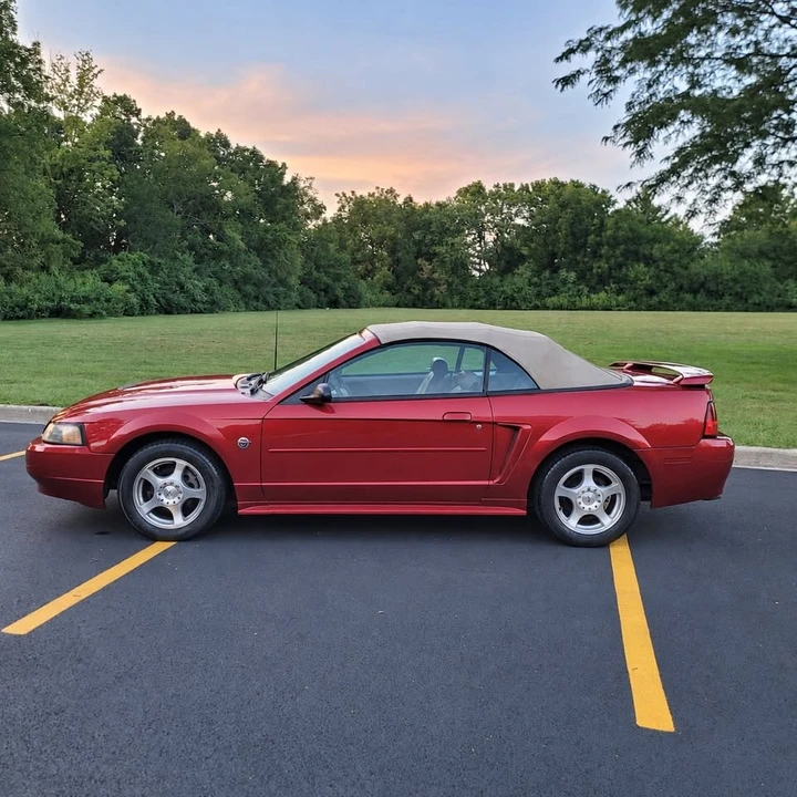 2004 Ford SN95 Mustang - Image 8 of 19