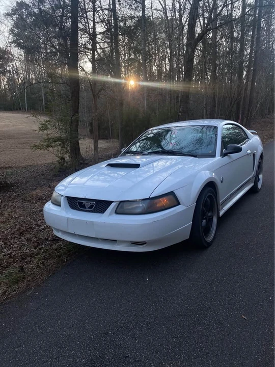 2004 Ford SN95 Mustang - Image 3 of 5