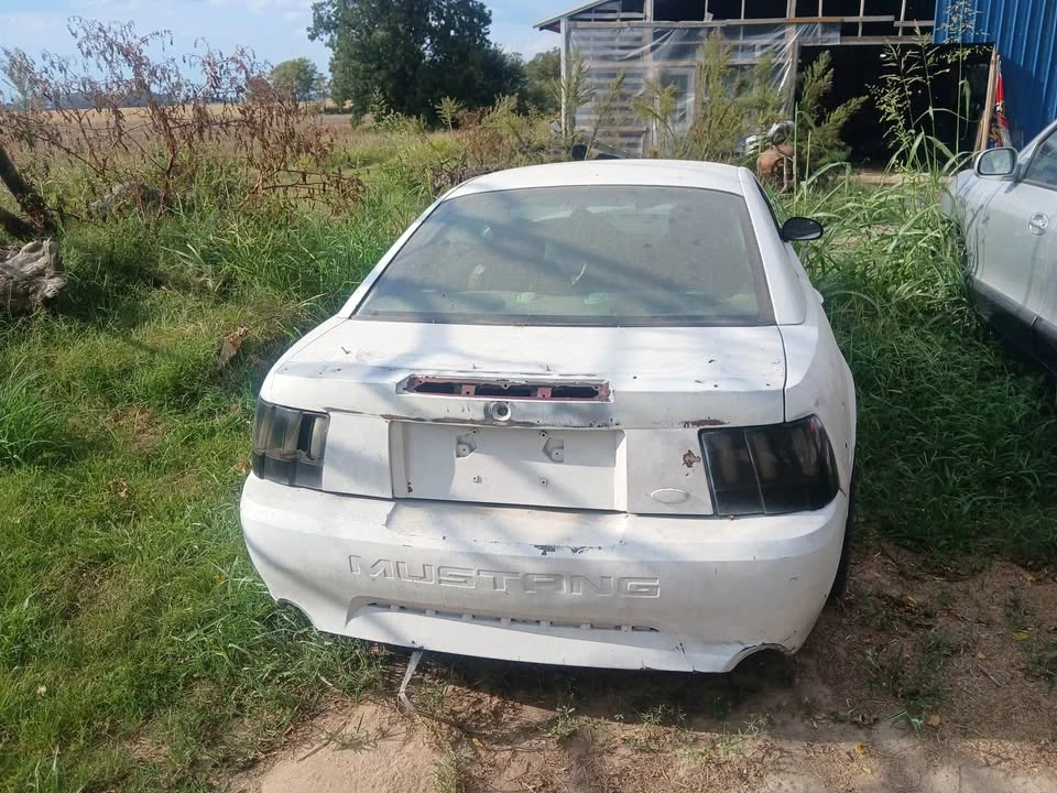 2004 Ford SN95 Mustang - Image 2 of 19