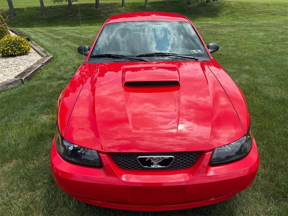 2004 Ford SN95 Mustang - Image 3 of 31