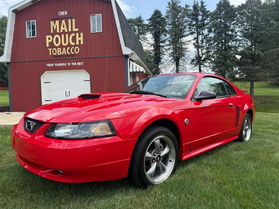 2004 Ford SN95 Mustang - Image 4 of 31