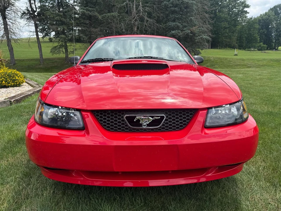 2004 Ford SN95 Mustang - Image 6 of 31