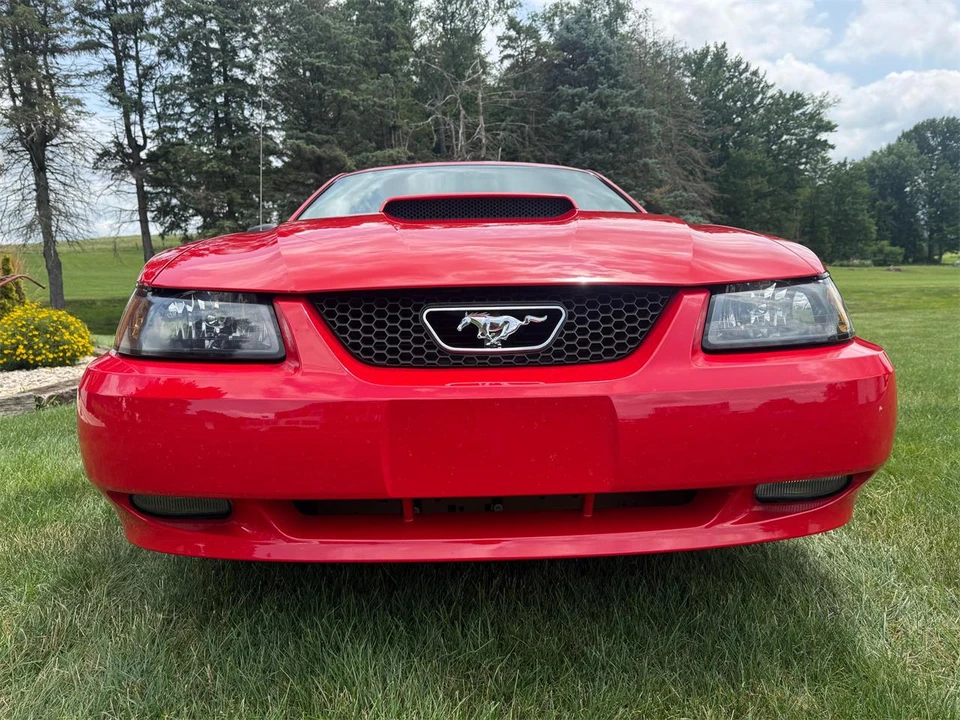 2004 Ford SN95 Mustang - Image 7 of 31