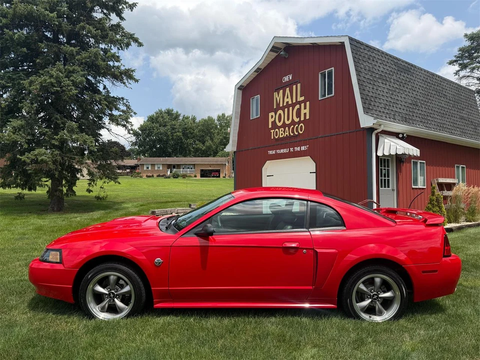 2004 Ford SN95 Mustang - Image 15 of 31