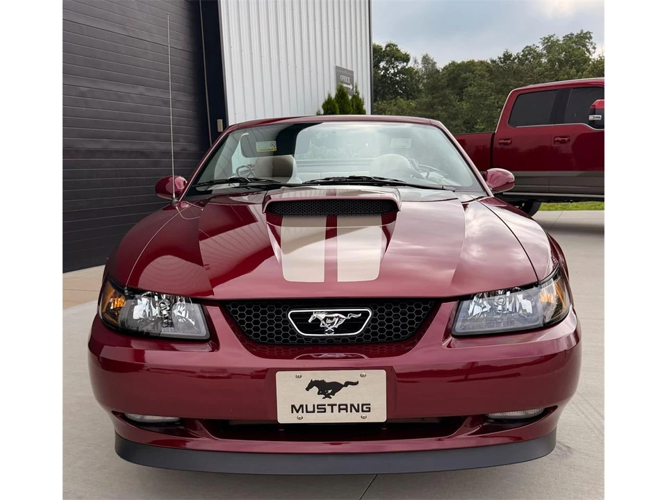 2004 Ford SN95 Mustang - Image 8 of 31