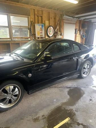 2004 Ford SN95 Mustang - Image 2 of 7