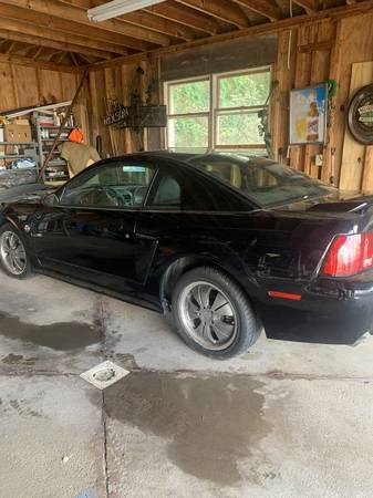 2004 Ford SN95 Mustang - Image 4 of 7