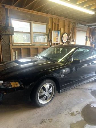 2004 Ford SN95 Mustang - Image 3 of 7