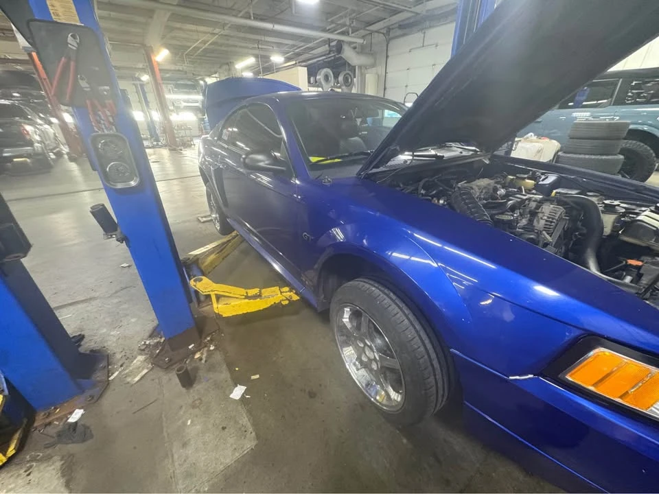 2004 Ford SN95 Mustang - Image 2 of 6