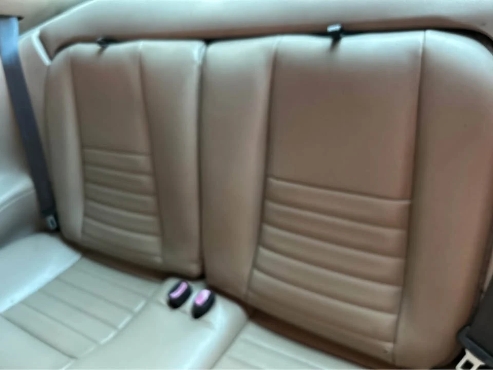 2004 Ford SN95 Mustang - Image 11 of 11